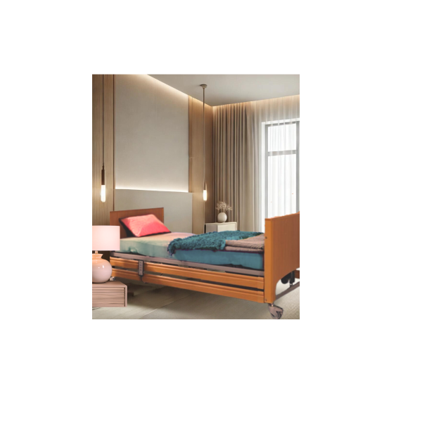 Letto elettrico da degenza motori indipendenti e rete elevabile in altezza con sostegno alzamalati