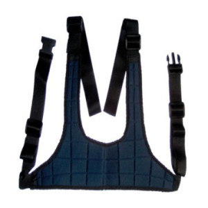 Cintura pettorale a...