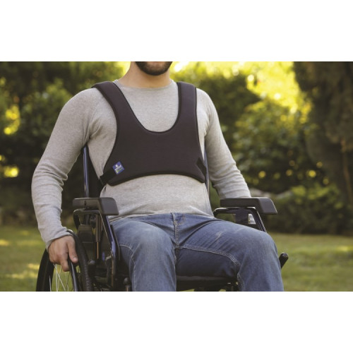 Cintura pettorale a corpetto