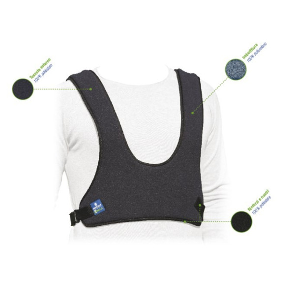 Cintura pettorale a corpetto