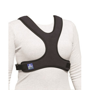 Cintura pettorale a...