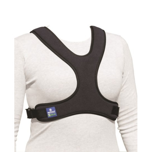 Cintura pettorale a corpetto a farfalla