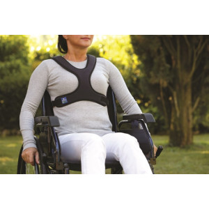 Cintura pettorale a... 2