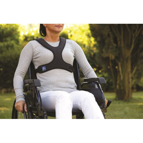 Cintura pettorale a corpetto a farfalla