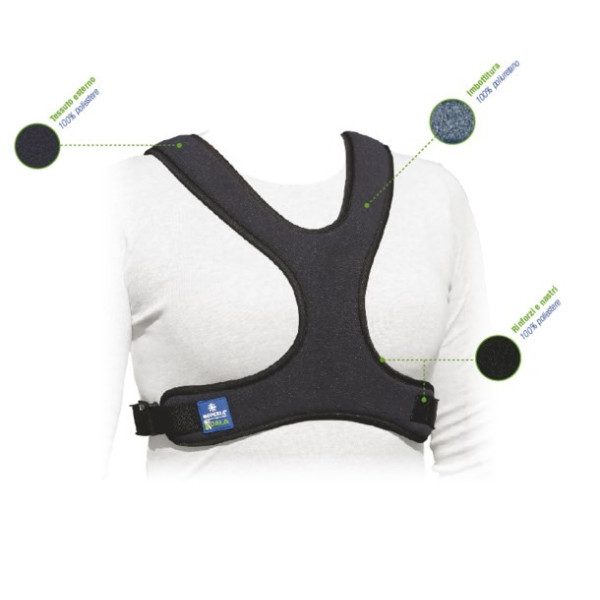 Cintura pettorale a corpetto a farfalla