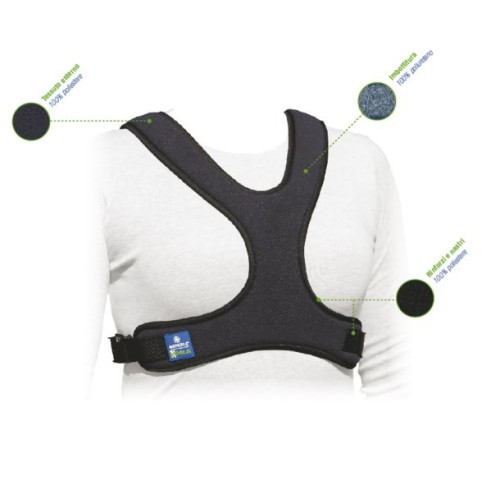 Cintura pettorale a corpetto a farfalla