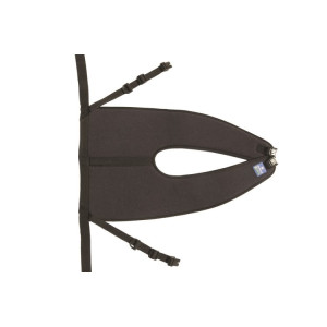 Cintura pelvica di...