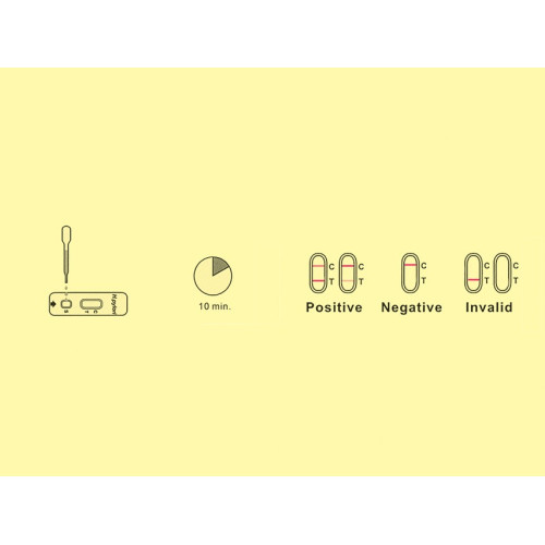 Test ulcera - helicobacter pylori